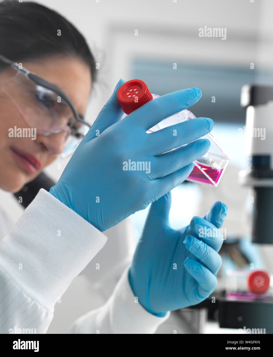 Cellula umana ricerca, cella femmina biologo esaminando un pallone contenente cellule staminali, coltivato in rosso medium di crescita in laboratorio Foto Stock