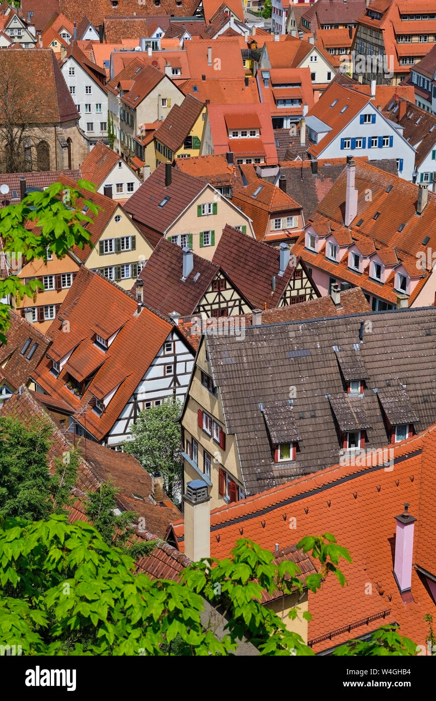 Townscape dal di sopra, Tuebingen, Baden-Wuerttemberg, Germania Foto Stock
