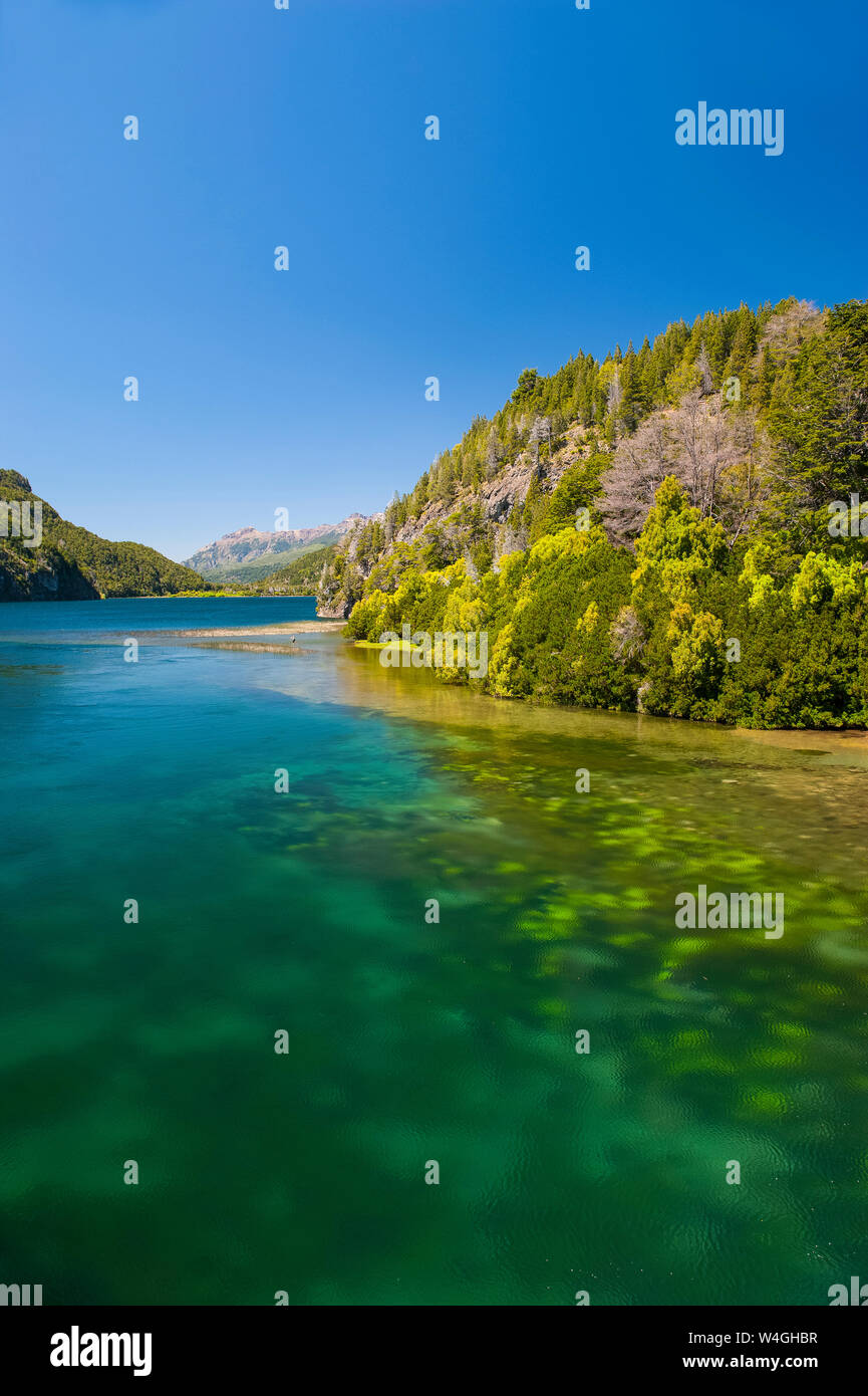 Acqua cristallina a Los Alerces National Park, Chubut, Argentina, Sud America Foto Stock