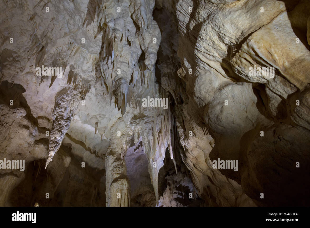 Le magnifiche strutture all'interno di Ruakuri le Grotte di Waitomo, Nuova Zelanda Foto Stock