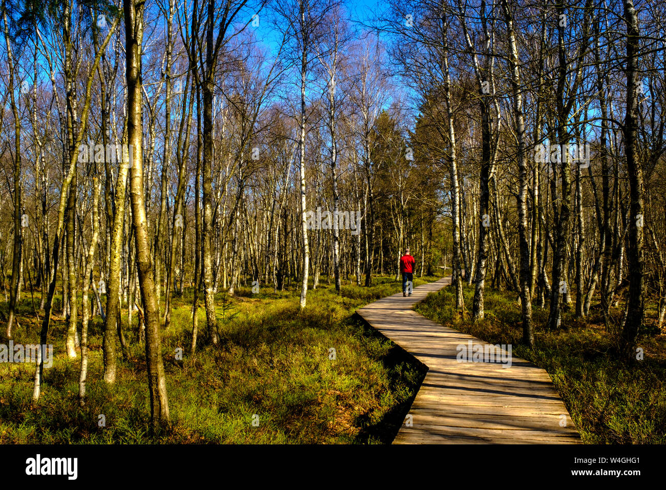 Gli escursionisti a piedi su una passerella, riserva naturale, rosso Moor, Rhoen, Germania Foto Stock