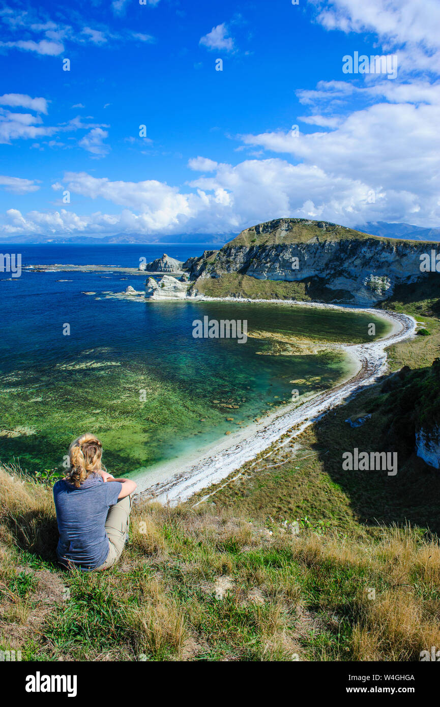 Per turisti in cerca dalla rupe su Kaikoura Peninsula, Isola del Sud, Nuova Zelanda Foto Stock