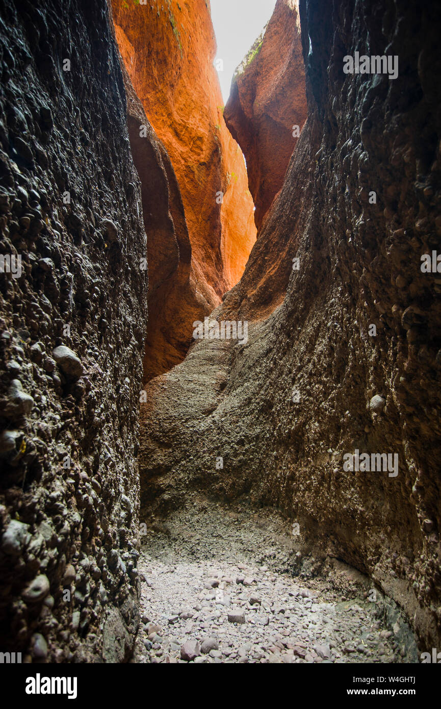 Pasticciare Bungles National Park, Australia occidentale, Australia Foto Stock