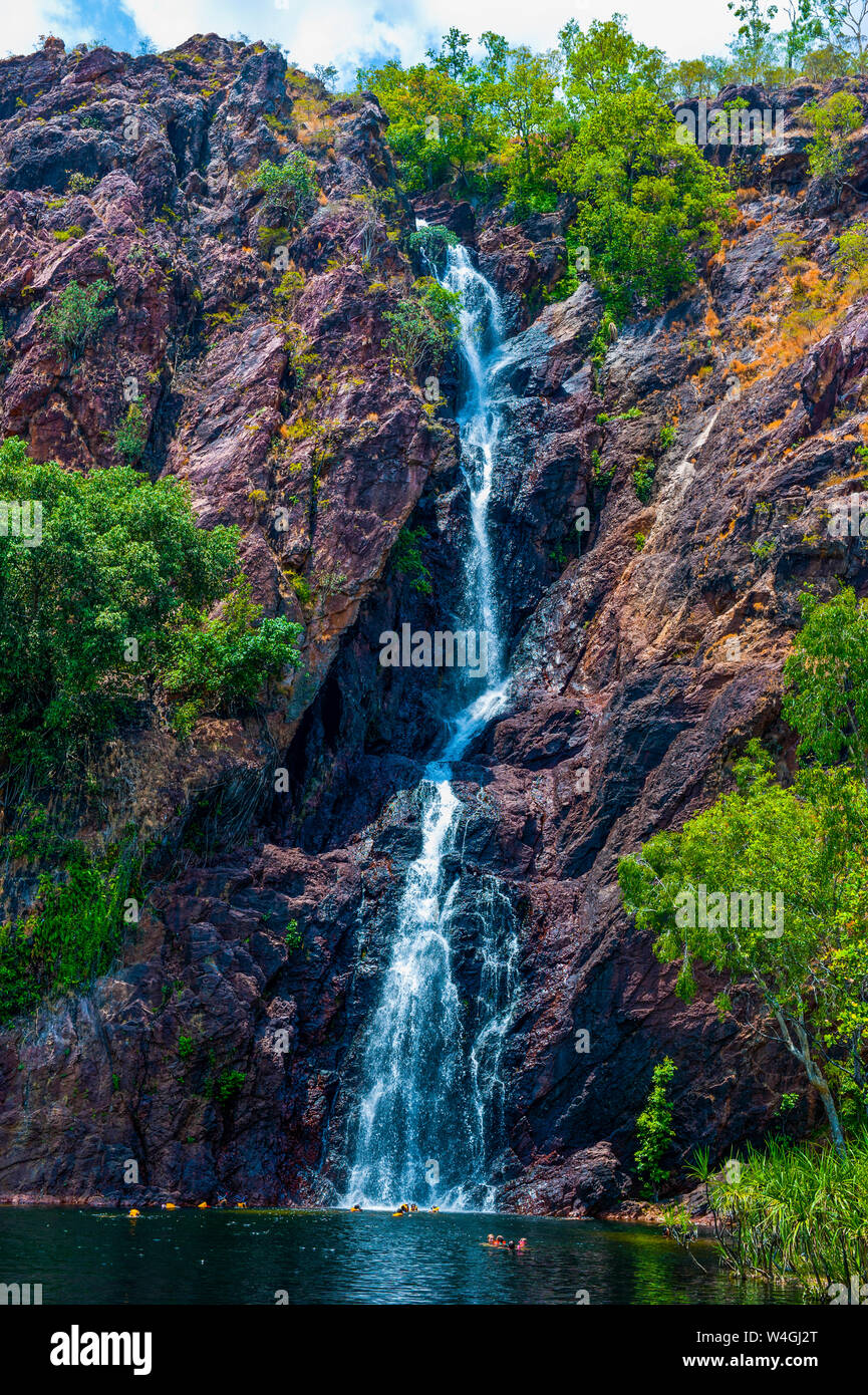 La cascata nel Parco Nazionale di Litchfield, Territorio del Nord, l'Australia Foto Stock
