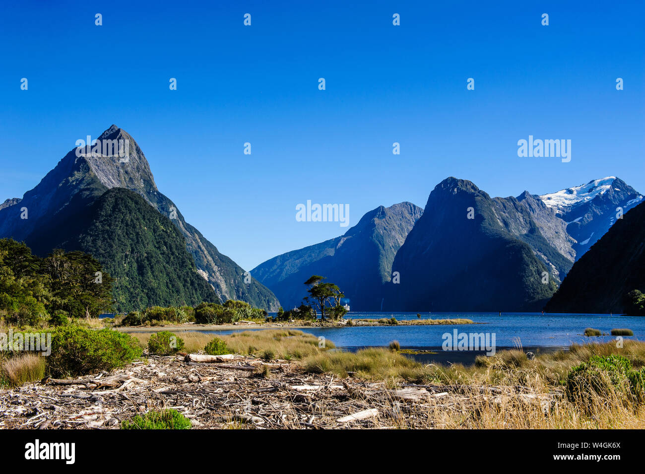 Le ripide scogliere di Milford Sound, Isola del Sud, Nuova Zelanda Foto Stock