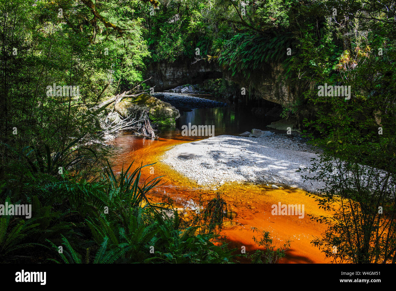 Oparara Arch nel bacino Oparara, Karamea, Isola del Sud, Nuova Zelanda Foto Stock