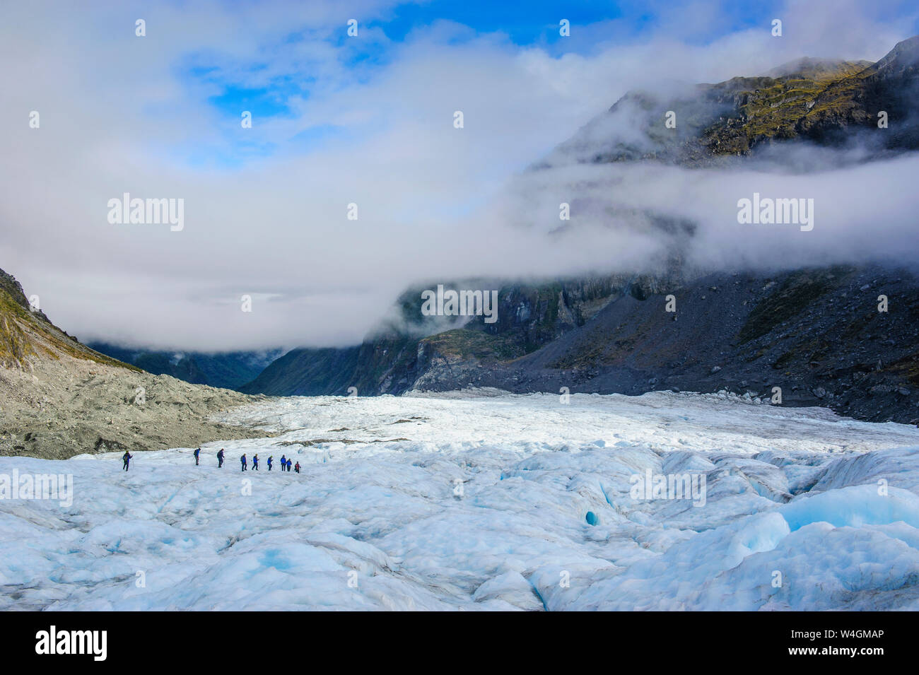 I turisti escursionismo su ghiacciaio Fox, Isola del Sud, Nuova Zelanda Foto Stock