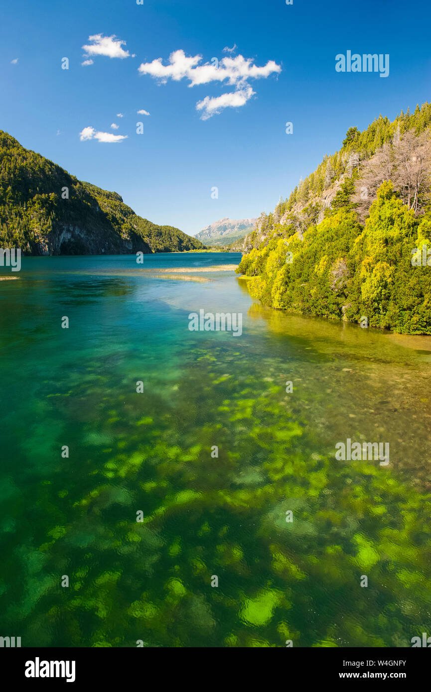Acqua cristallina a Los Alerces National Park, Chubut, Argentina, Sud America Foto Stock