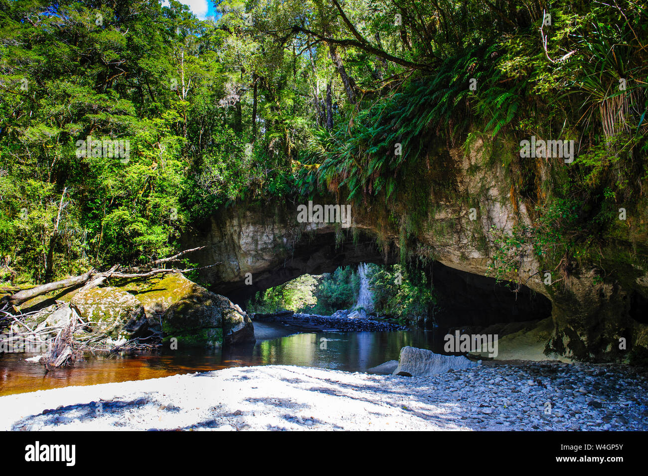 Cancello di Moria Arch nel bacino Oparara, Karamea, Isola del Sud, Nuova Zelanda Foto Stock