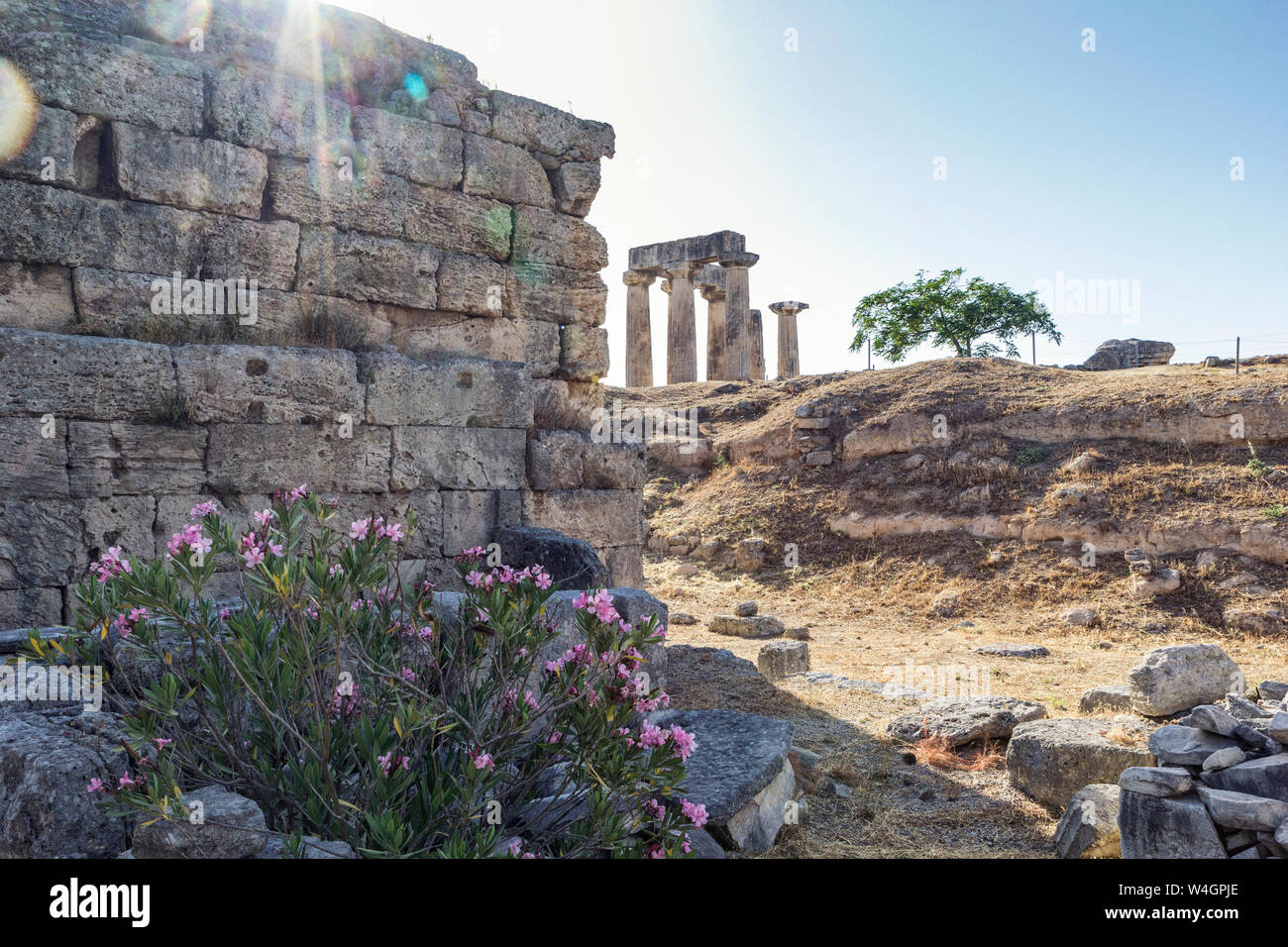 Sito archeologico con arcaico Tempio di Apollo, Dorian colonne, Corinto, Grecia Foto Stock