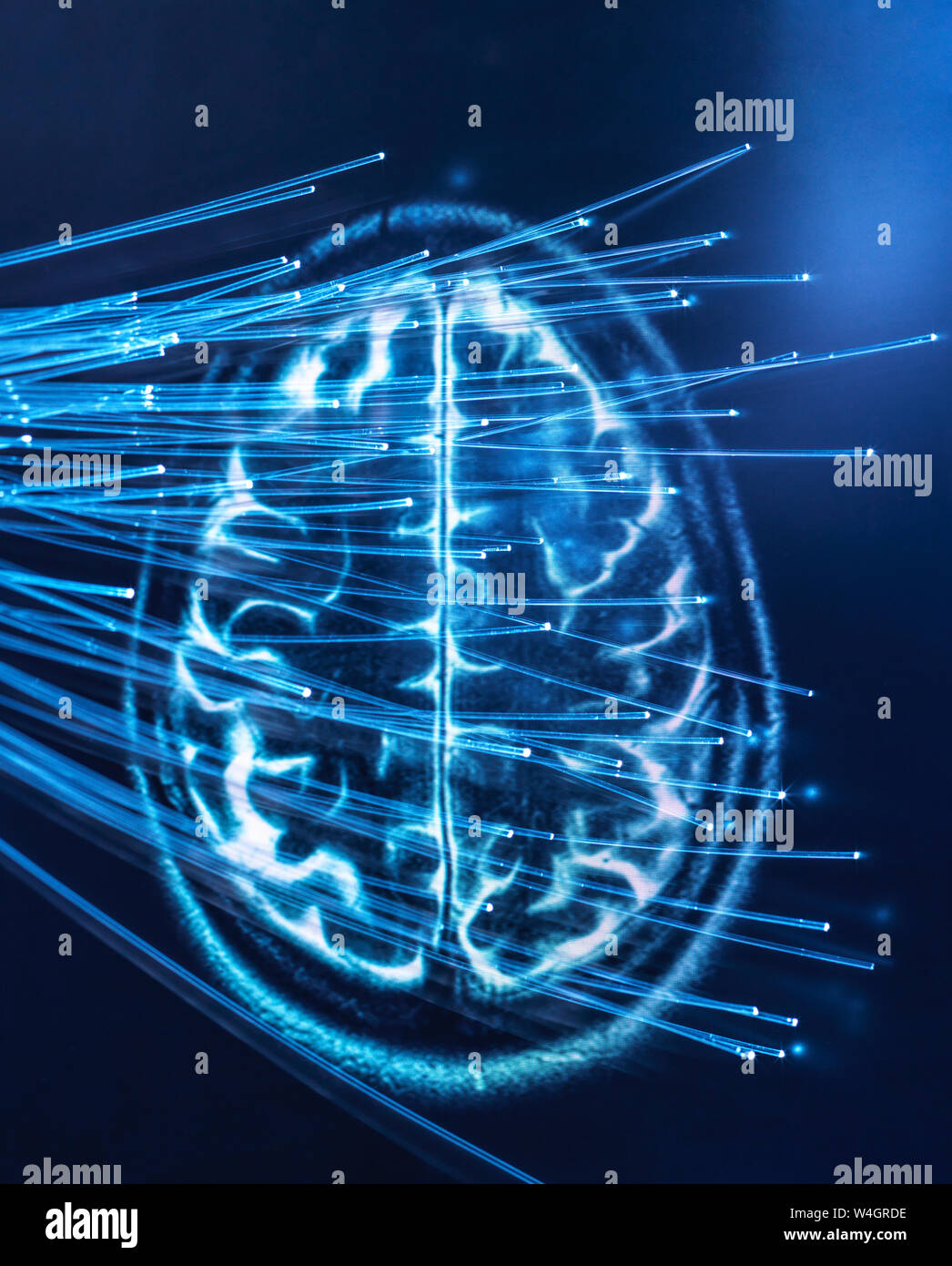 Intelligenza artificiale, la fibra ottica che trasporta i dati passano nel cervello Foto Stock