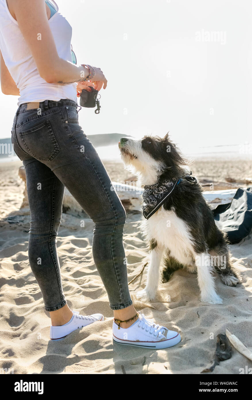 Donna con cane sulla spiaggia Foto Stock