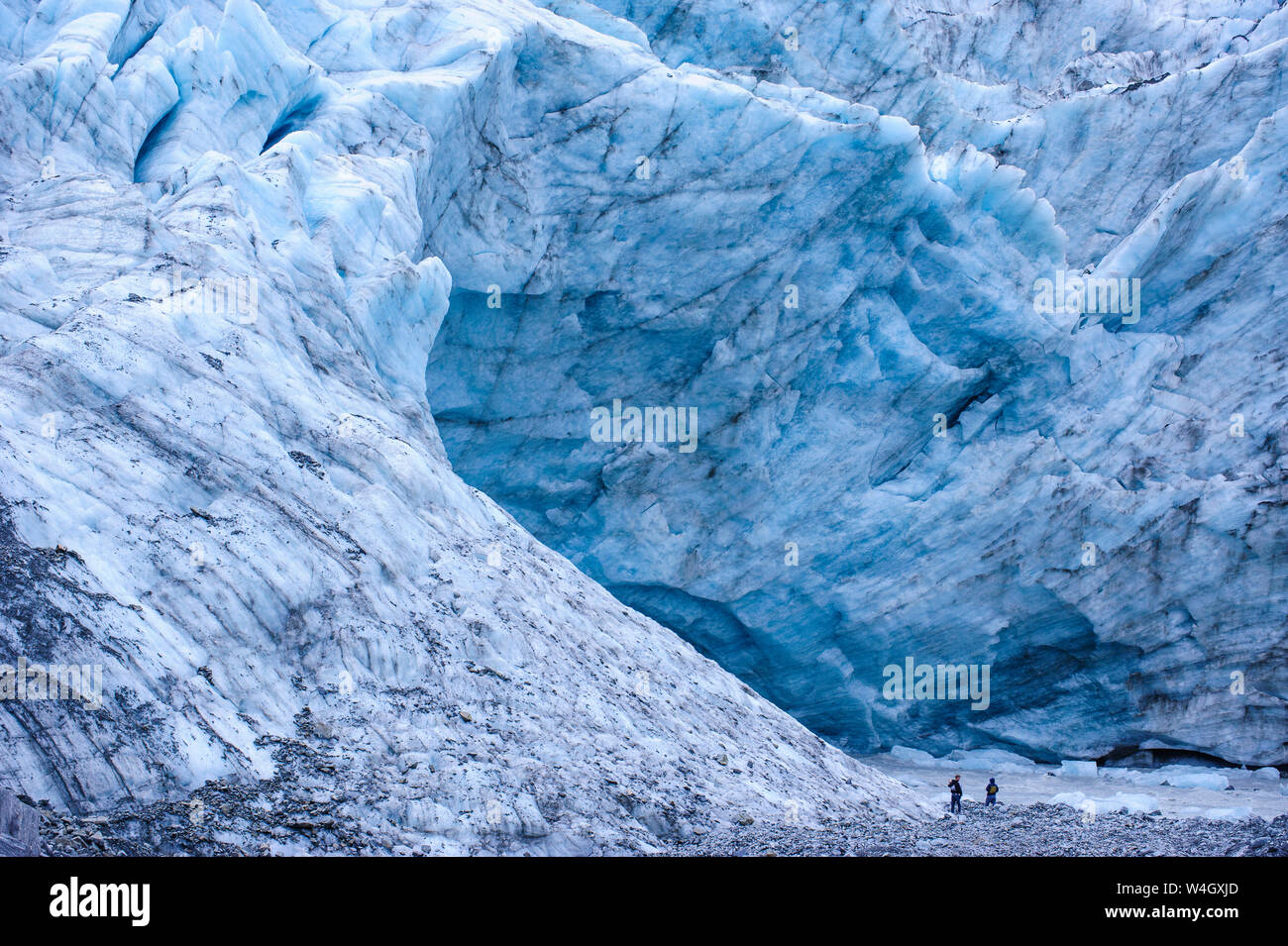I turisti escursioni per il gigante di deflusso glaciale del ghiacciaio Fox, Isola del Sud, Nuova Zelanda Foto Stock