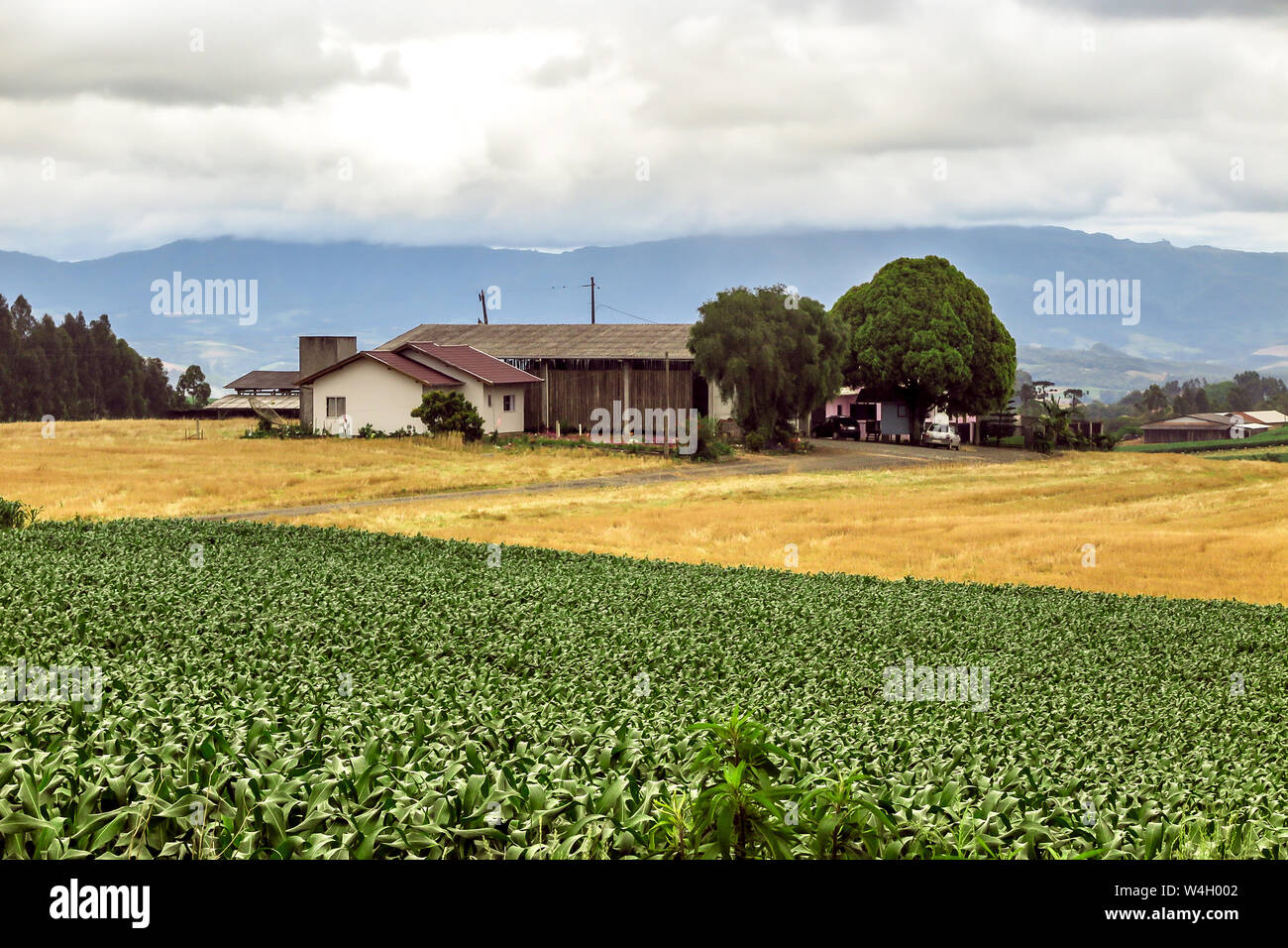 Agriturismo con piantagioni e montagna in background, cielo nuvoloso, Petrolandia, Santa Catarina Foto Stock