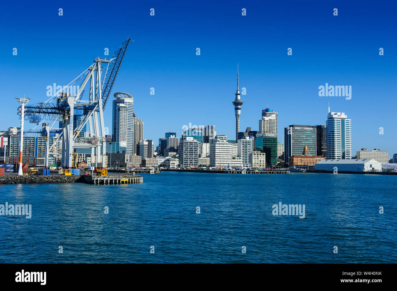 Skyline di Auckland, Nuova Zelanda Foto Stock