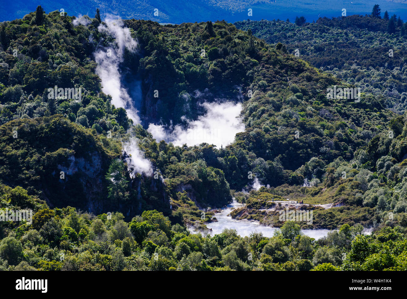 Geotermica campo acitve nella Vulcanica Waimangu Rift Valley North Island, Nuova Zelanda Foto Stock
