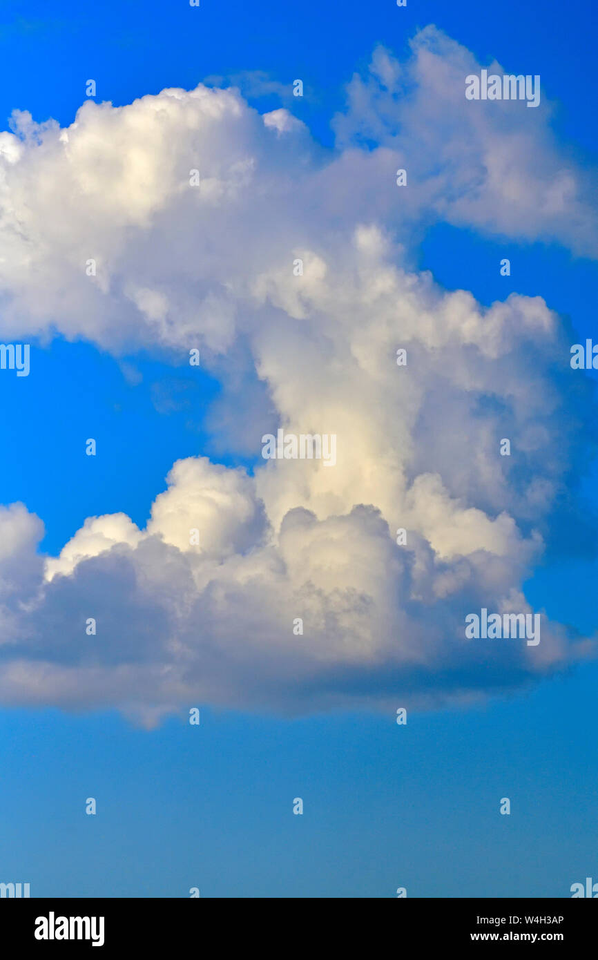 Puffy nuvole bianche contro un cielo blu nelle zone rurali di Alberta in Canada Foto Stock