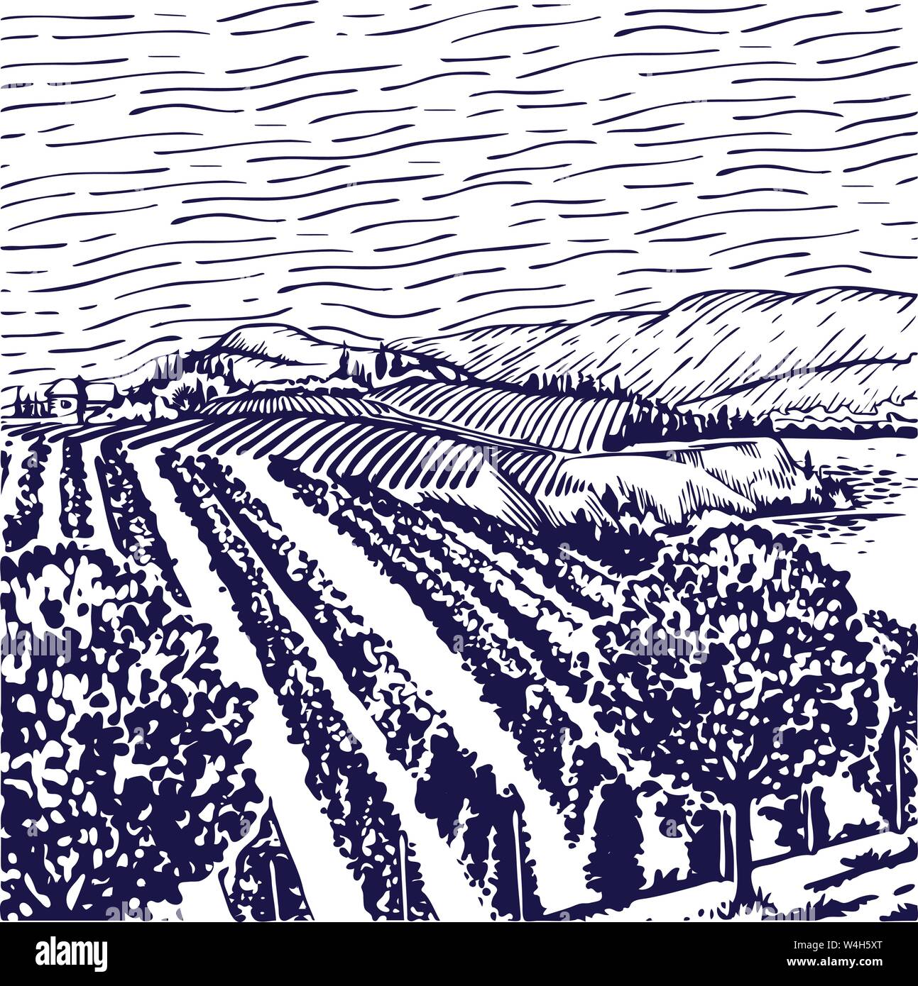 Vigneto line art, con filari di vigne, con un vitigno in primo piano e un edificio, cielo velato e montagne. Illustrazione Vettoriale