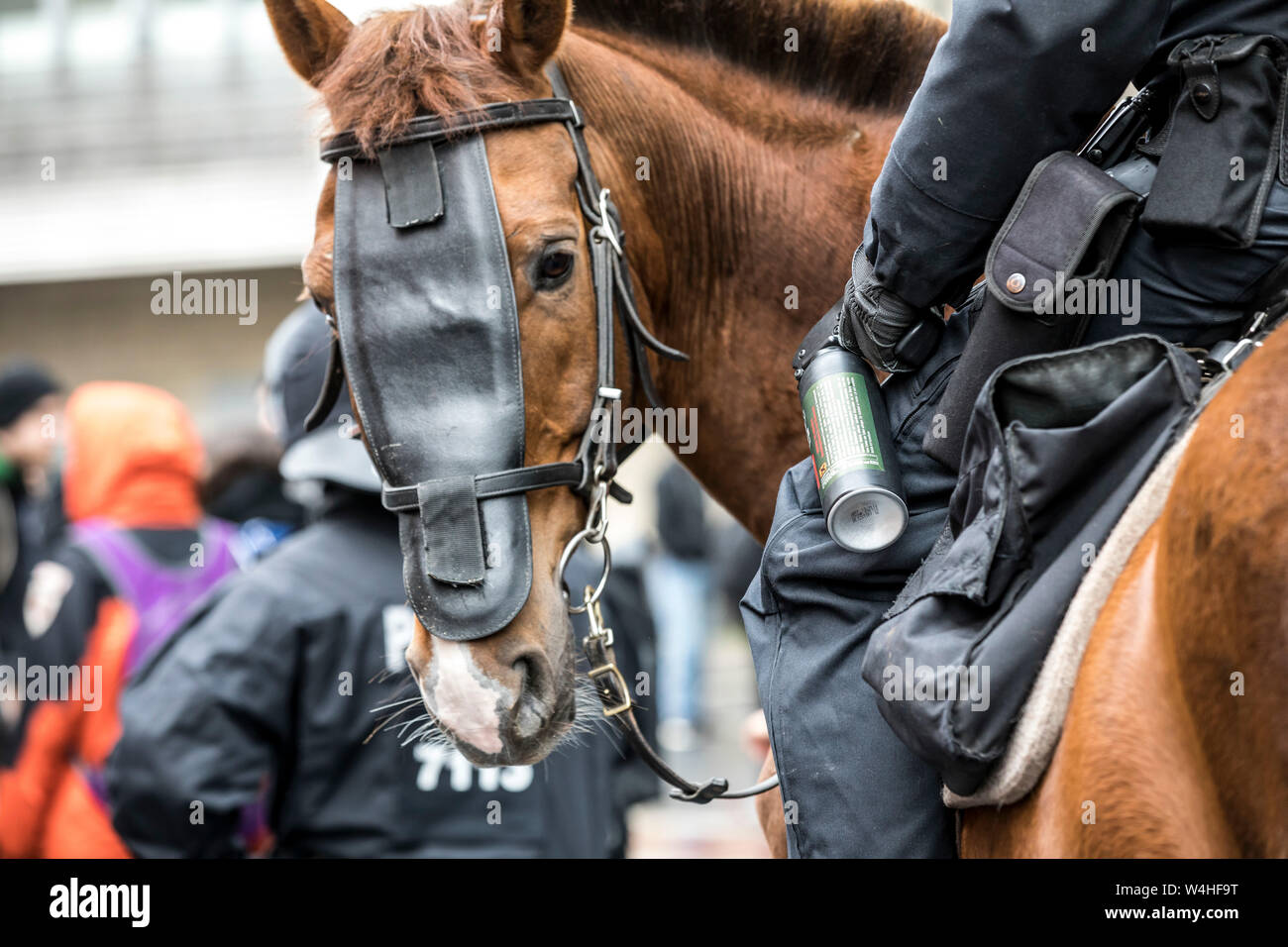 La polizia a cavallo e cavalcare squadron, poliziotto con spruzzo di pepe può, Foto Stock