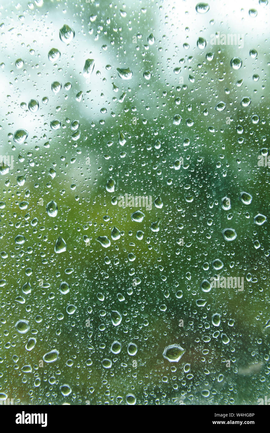Vista da finestra sulla molla Rainy day. Bella vista sul verde dim delinea la natura sullo sfondo. Gocce d'acqua sul vetro con bordi sfocati. Caduta di pioggia Foto Stock