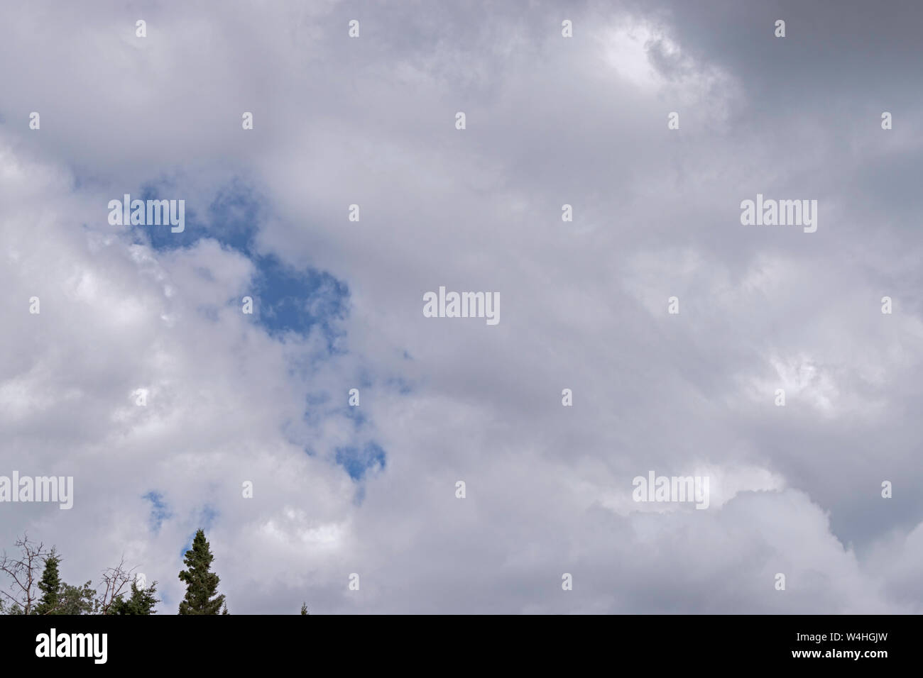 Le nubi di estate raccogliere oltre la foresta vicino a Fairbanks in Alaska che mostra una apertura di cielo blu sopra le cime degli alberi Foto Stock