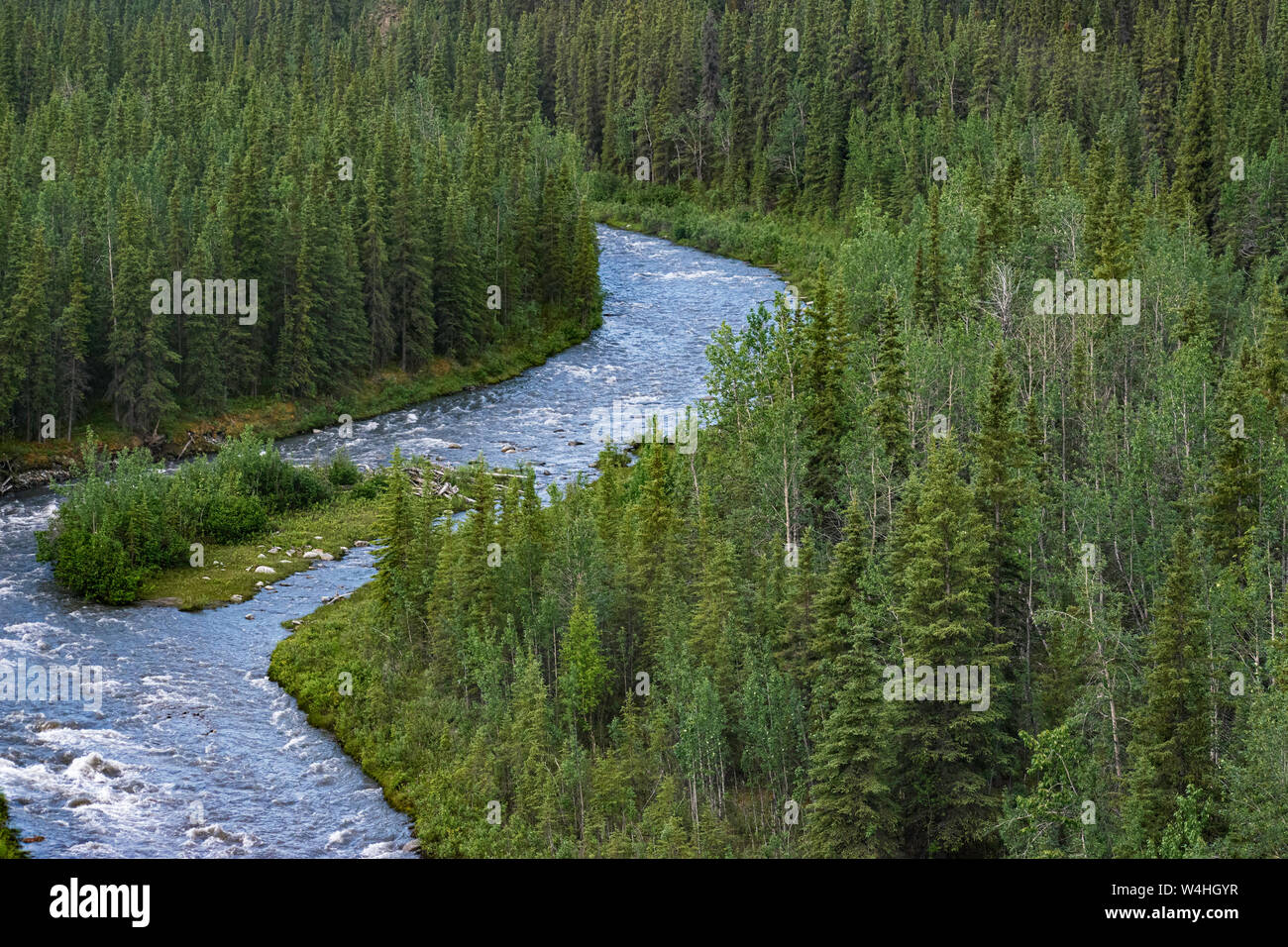 Guardando in giù da un ponte sopra il fiume nenana a sud-ovest di Fairbanks in Alaska, mostrando il fiume che scorre velocemente attraverso un bosco misto Foto Stock