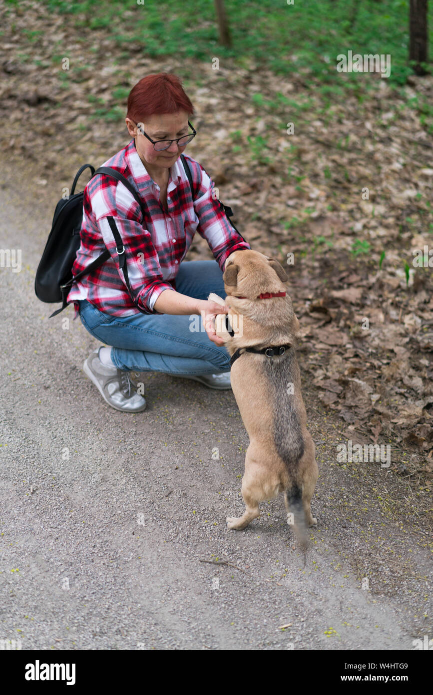 Donna adulta passeggiate nel parco con luce marrone cane Foto Stock