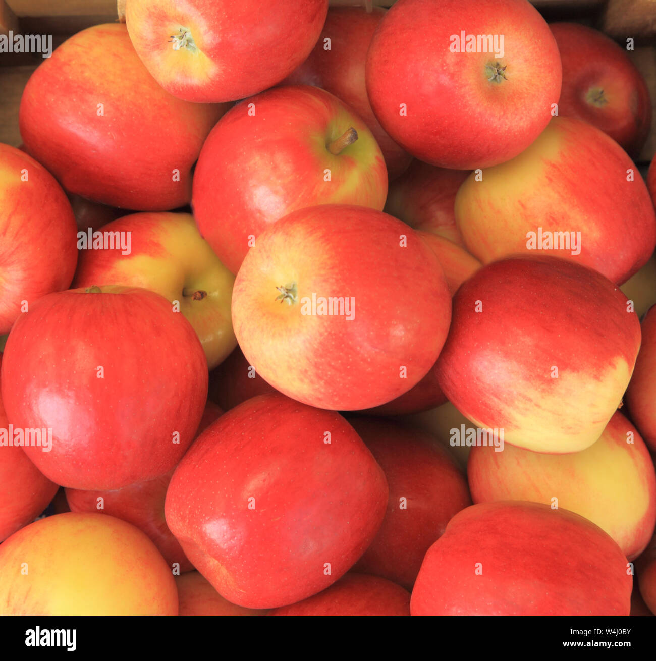 Apple "Jazz", dalla Nuova Zelanda, varietà di mele, mangiare le mele, commestibili, farm shop display Foto Stock