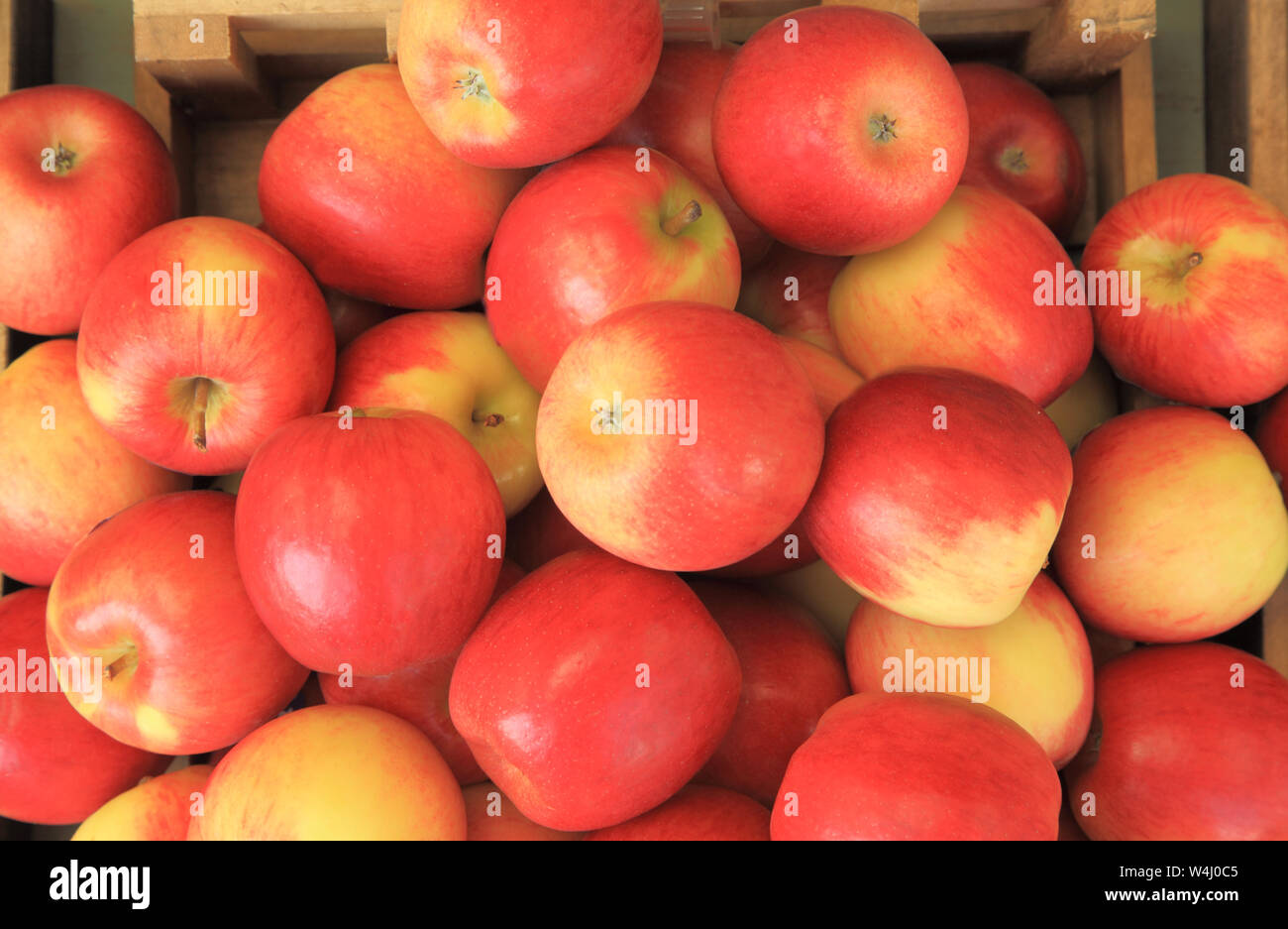 Apple "Jazz", dalla Nuova Zelanda, varietà di mele, mangiare le mele, commestibili, farm shop display Foto Stock
