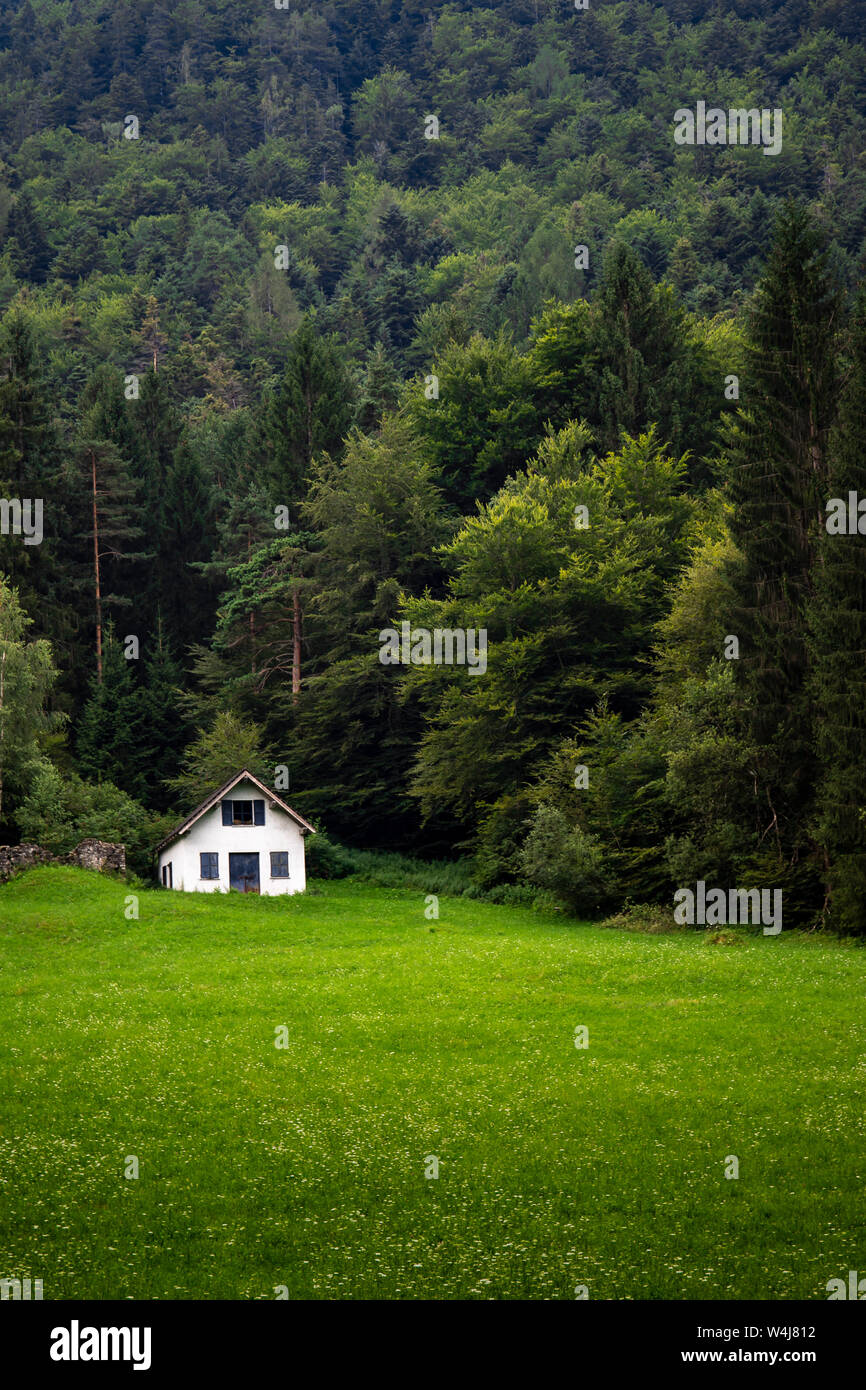 Montagna verde paesaggio estivo con un bianco isolato cabina o nel fienile della distanza attraverso il prato. La solitudine e la tranquillità di sfondo o wallpap Foto Stock