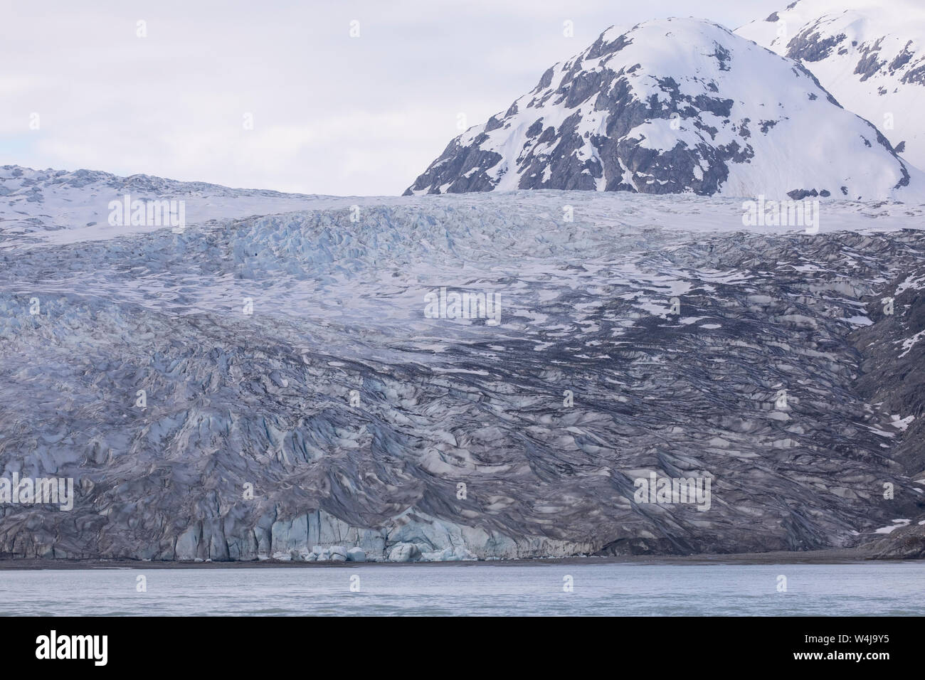 Reid ghiacciaio, il Parco Nazionale di Glacier Bay, Alaska. Foto Stock