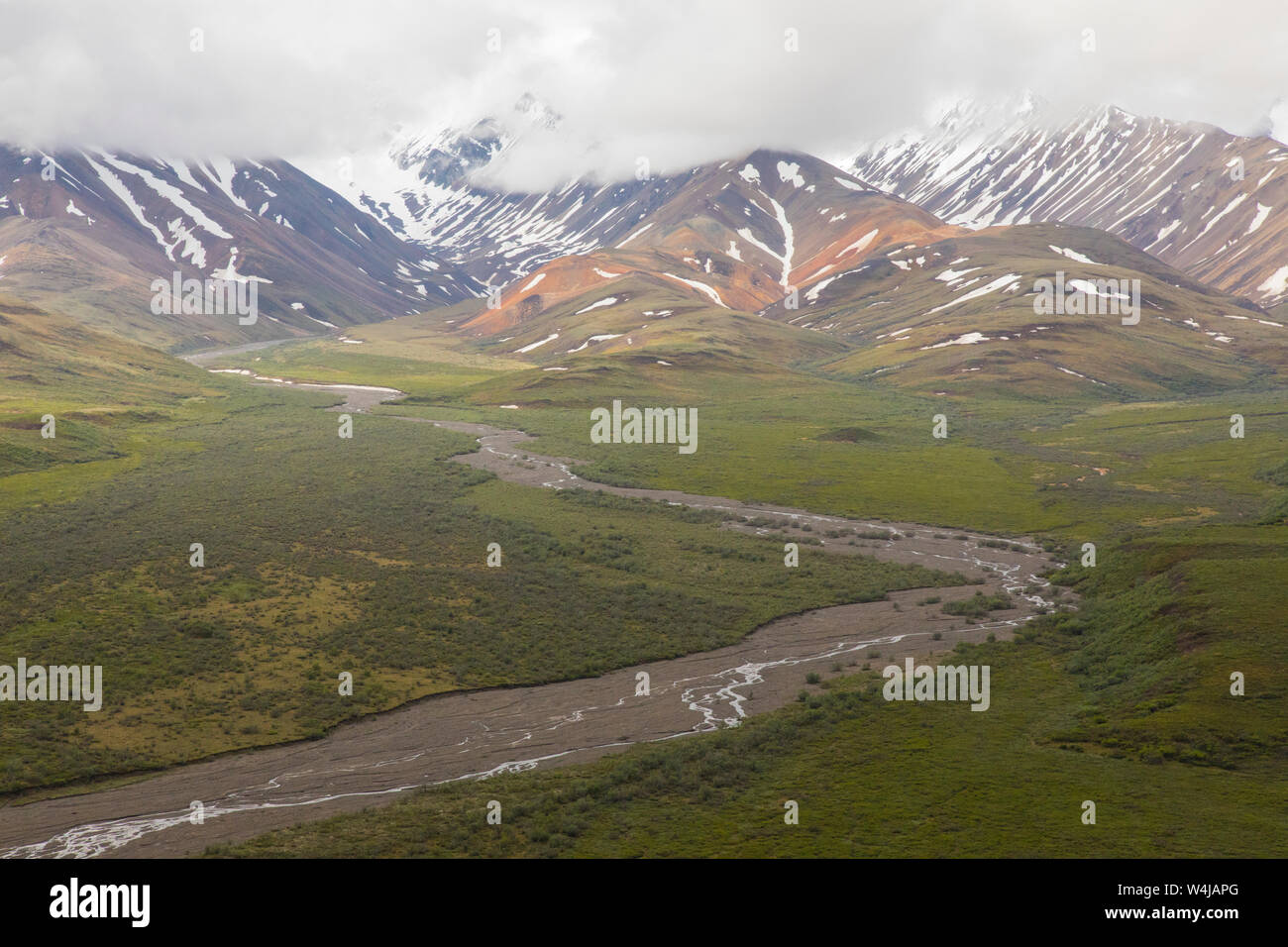 Vista dal Pass policromo, Parco Nazionale di Denali, Alaska Foto Stock