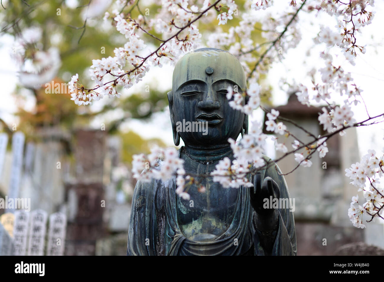 Statua di Buddha e ciliegio fiori in un cimitero giapponese, Kyoto. Foto Stock