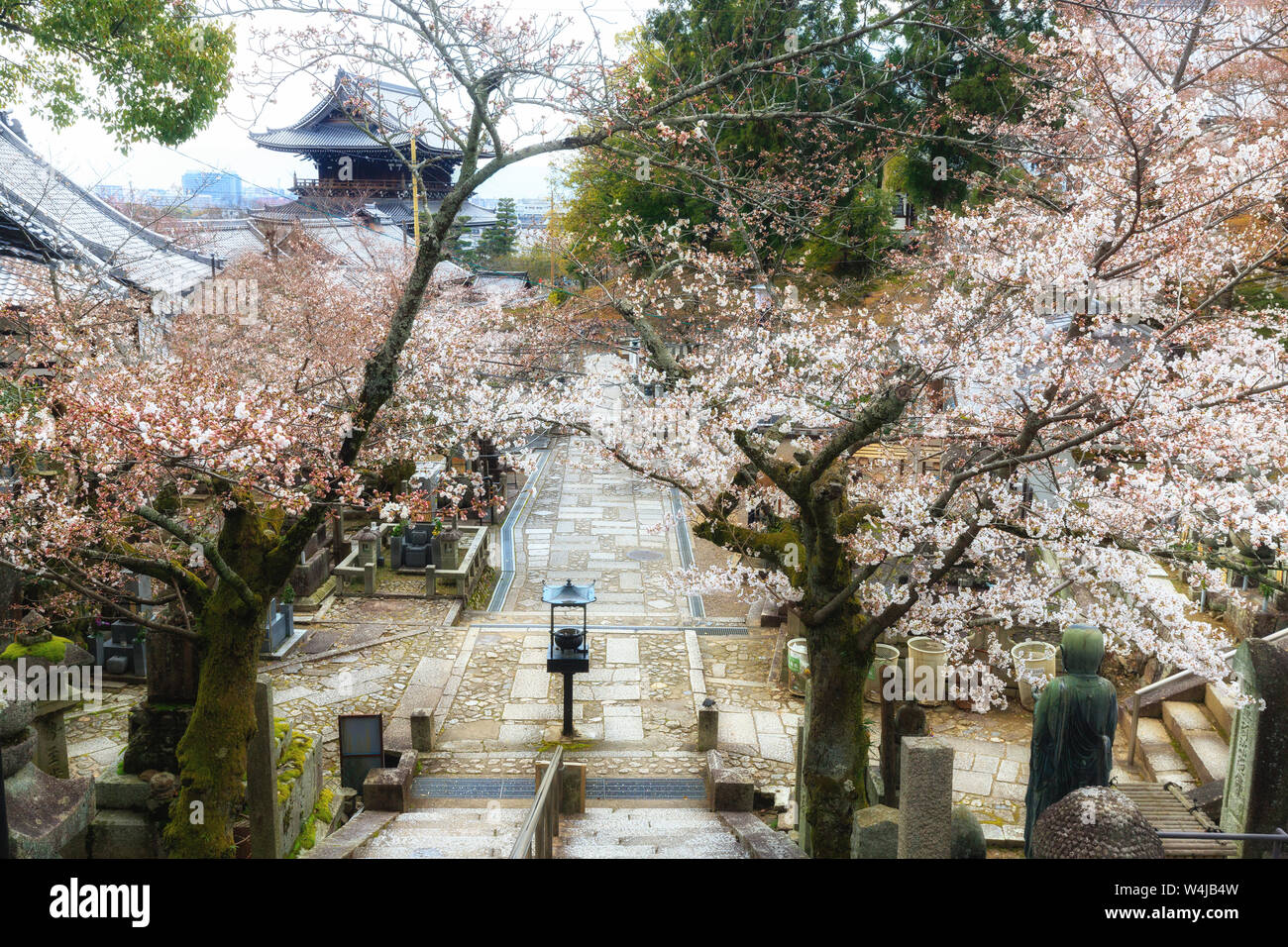 Uno scenario primaverile con ciliegi in fiore il Konkai komyo-ji il cimitero, Kyoto, Giappone Foto Stock