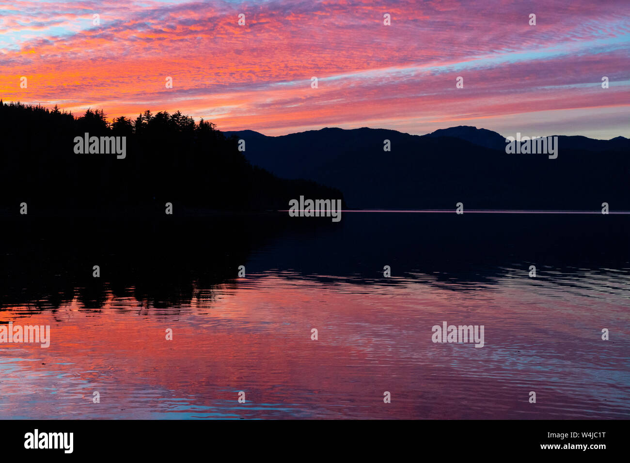 Tongass National Forest, Alaska. Foto Stock