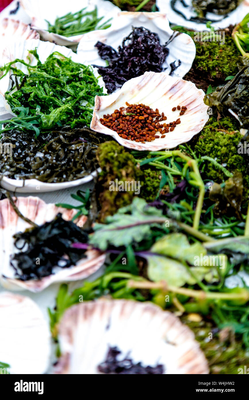 Bacche di olivello spinoso in un guscio e una varietà di alghe commestibili del National Geographic Traveller Food Festival 2019, London, Regno Unito Foto Stock