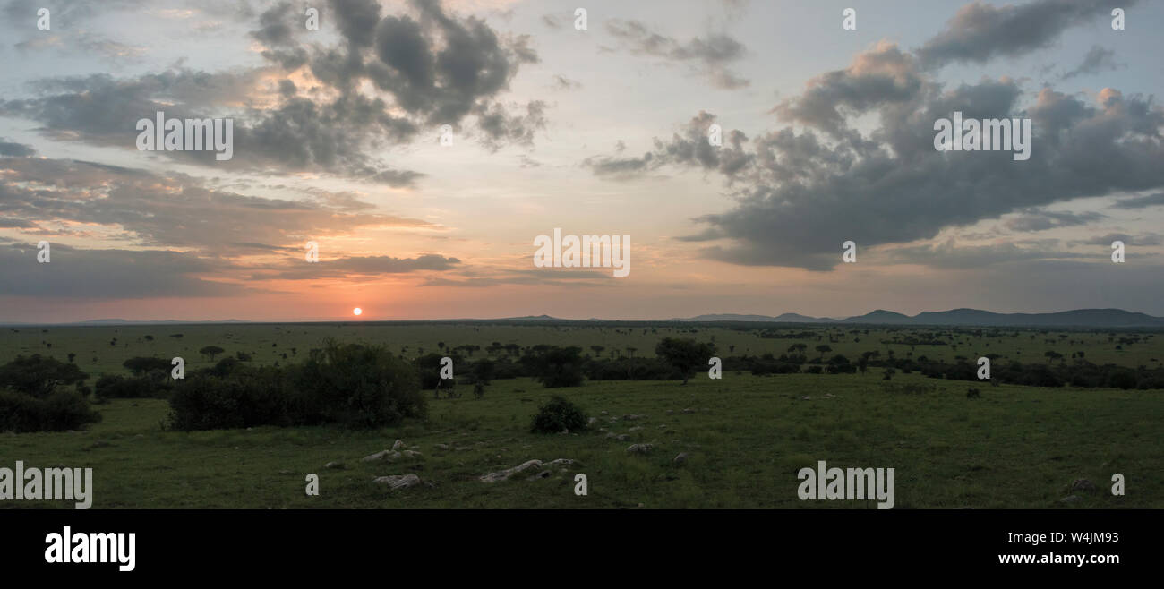 Sun appena deselezionando l'orizzonte all'alba, Grumeti Game Reserve, Serengeti, Tanzania Foto Stock
