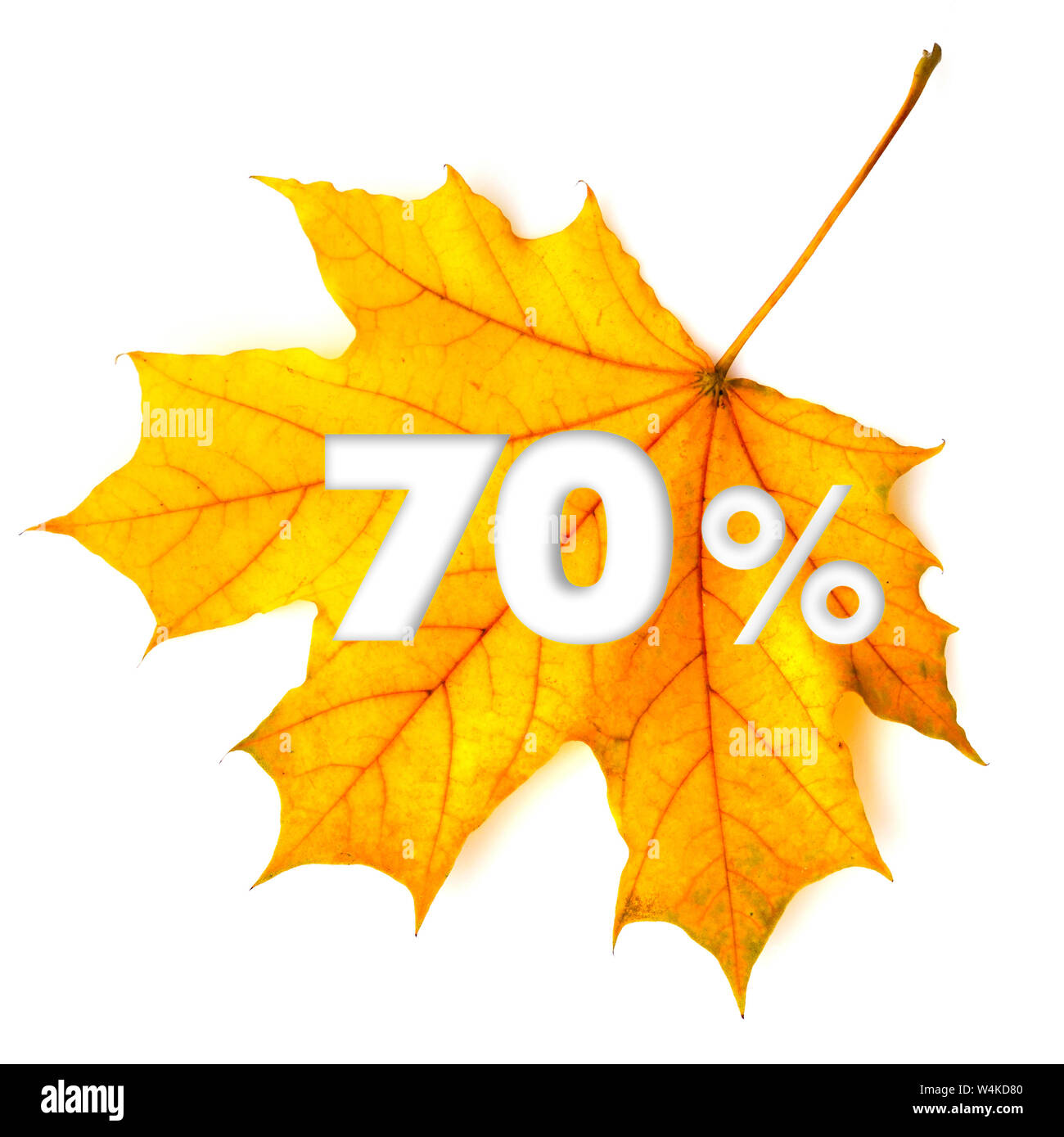 Vendita autunnale - 70%. Colorato Foglia di acero con il testo su sfondo bianco. Foto Stock