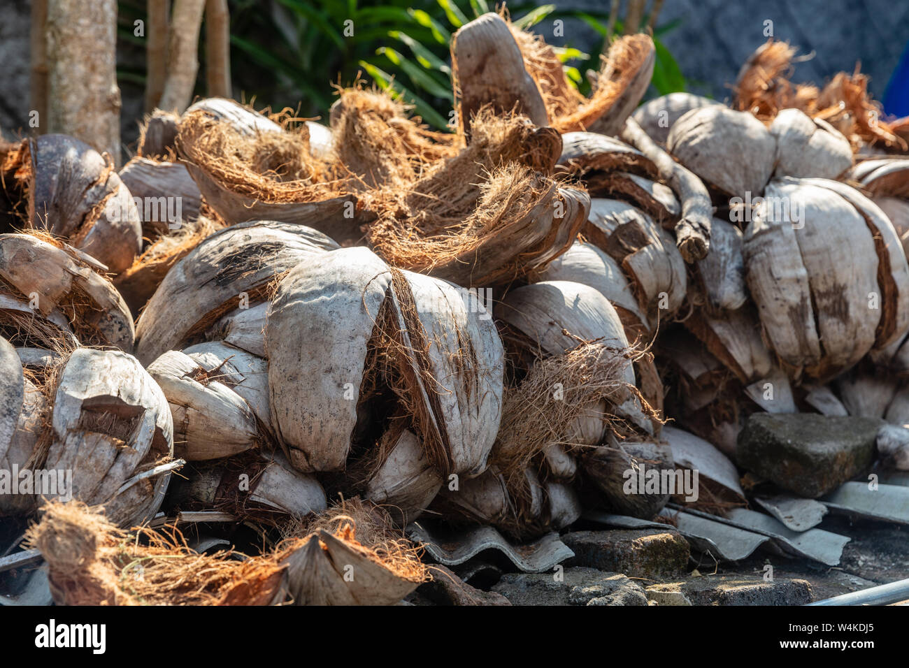 Buccia di cocco in essiccazione del villaggio di carbone per rendere sate indonesiano. Bali, Indonesia. Foto Stock