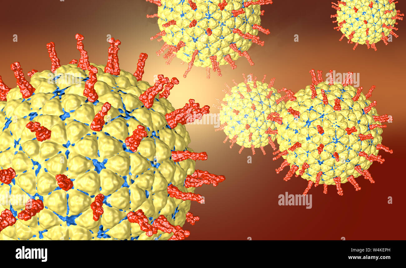 3D medicalmente illustrazione rotavirus showinging nell'intestino Foto Stock