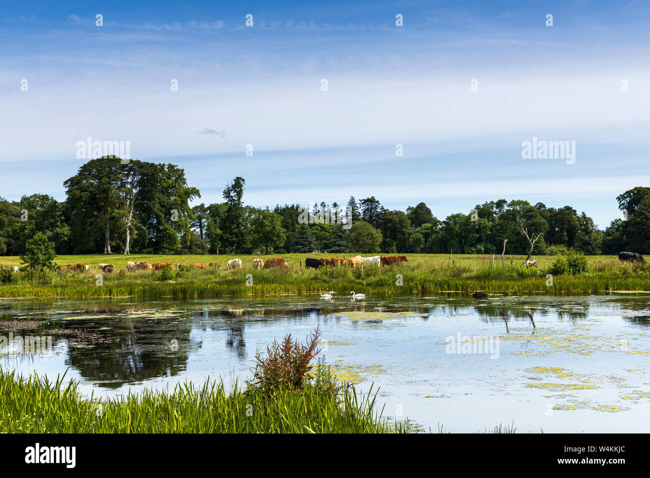 Lago a Russborough House e Parklands, Blessinton, County Wicklow, Irlanda Foto Stock