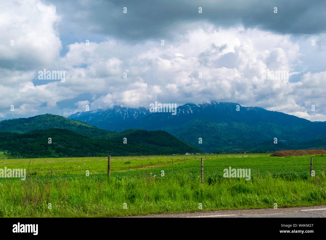 Bellissimo paesaggio con prati verdi in primo piano e le Blue Mountains in background Foto Stock