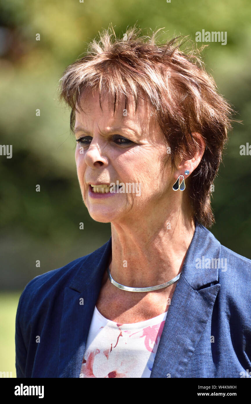 Anne Milton MP (Cost: Guildford) su College Green il giorno di Boris Johnson elezione come leader conservatore Foto Stock