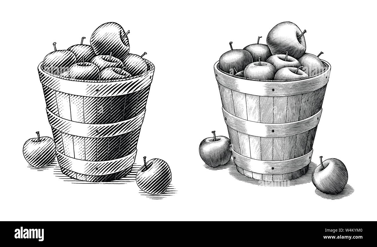 Apple nel cestello del disegno a mano in stile vintage in bianco e nero di clipart isolato su bianco background.Compare di semplici e complessi illustrazione delle linee Illustrazione Vettoriale