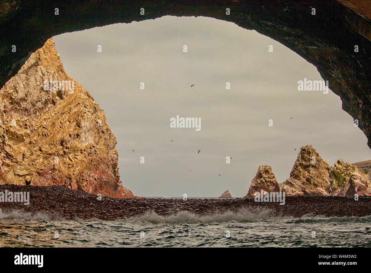 Vista da una grotta marina, Isole Ballestas, Pisco Provincia, Regione di Ica, Perù, Sud America Foto Stock