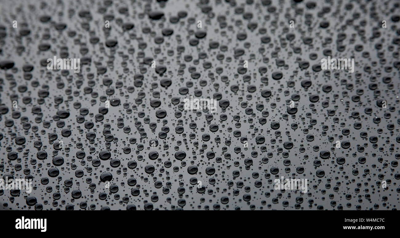 Le gocce di pioggia sulla superficie nera Foto Stock