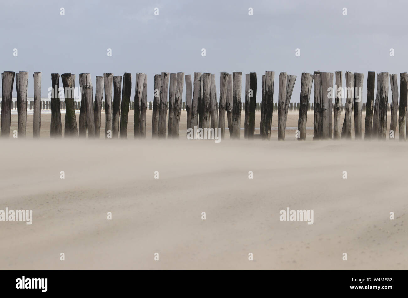 Tempesta di sabbia tra Domburg e Vrouwenpolder, Zeeland, Paesi Bassi Foto Stock
