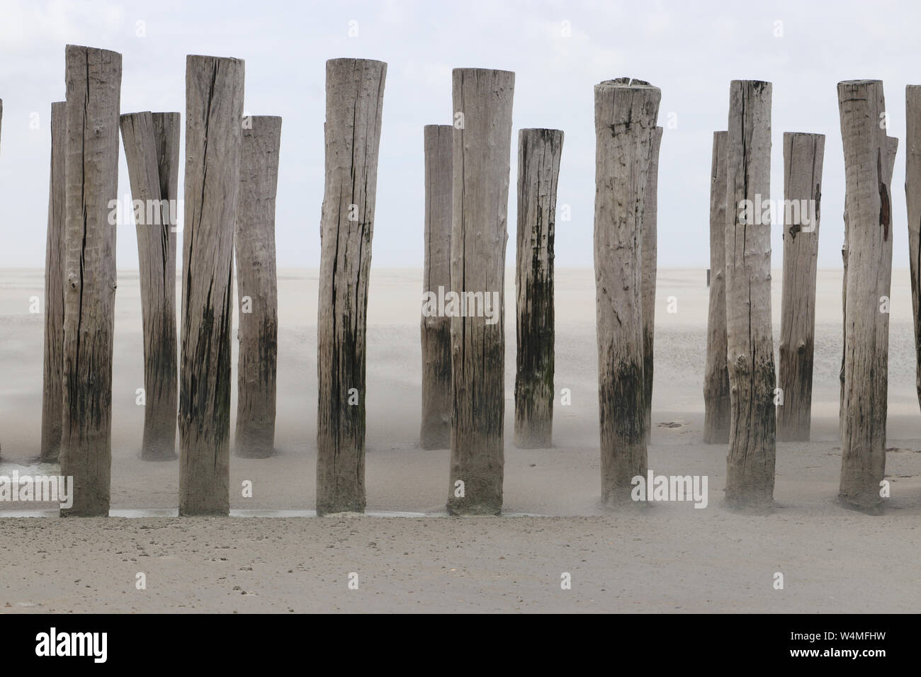 Tempesta di sabbia tra Domburg e Vrouwenpolder, Zeeland, Paesi Bassi Foto Stock