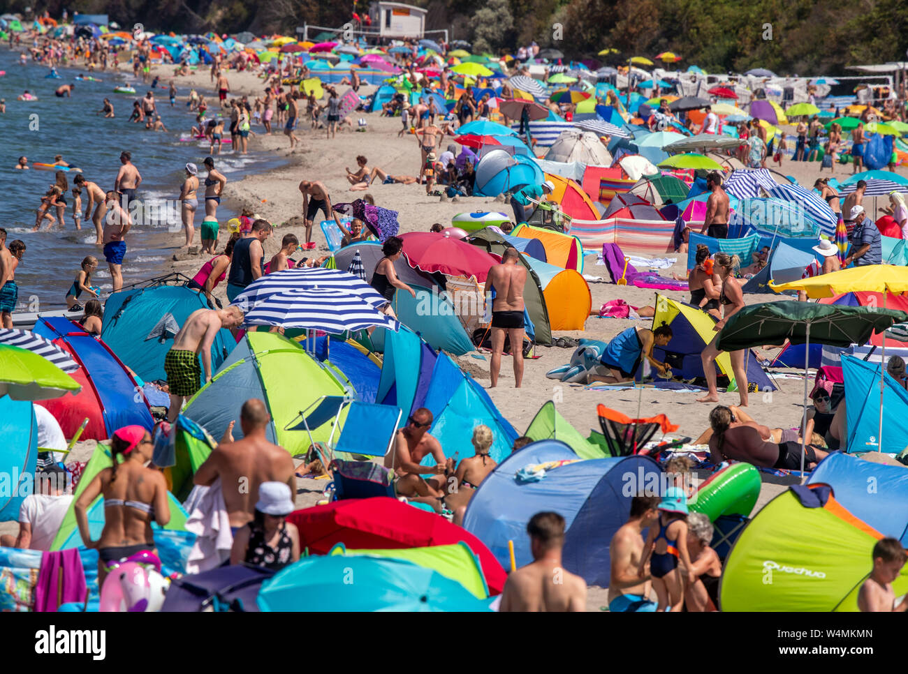 24 luglio 2019, Meclemburgo-Pomerania, Rerik: numerosi bagnanti per rilassarsi sulla spiaggia. Le elevate temperature estive fino a trenta gradi attrarre i turisti ed escursionisti a costa del Mar Baltico. Foto: Jens Büttner/dpa-Zentralbild/dpa Foto Stock