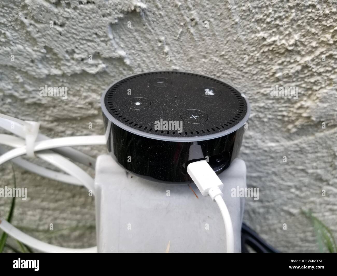 Amazon Eco Dot smart speaker, utilizzando la voce di Alexa Servizio di assistente, essendo utilizzato come un altoparlante esterno in un giardino in una casa intelligente a San Ramon, California, luglio 2019. () Foto Stock